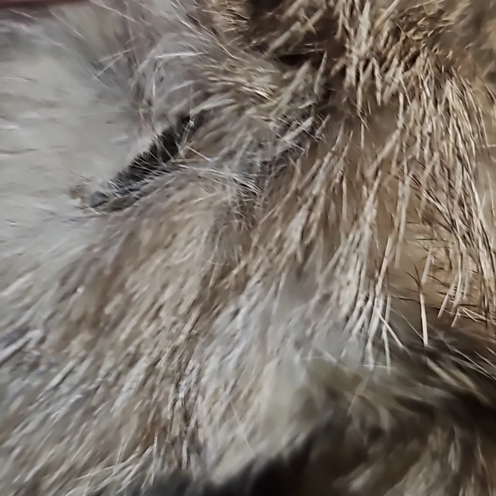 Real Fur Brown Tan Beaver Coat Fluffy Collar Glam